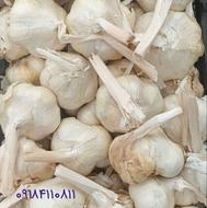فروش عمده سیر همدان و اسلایس سیر