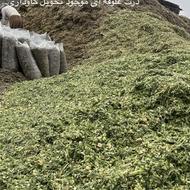 ذرت بسته بندی کشت اول کامل دانه