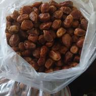 خرما زاهدی جنوب