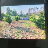 زمین 500 متری در روستای پایین کولا سانخیل