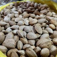 بادام و پسته